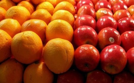 پیش‌بینی توزیع ۲۲۰ تن میوه شب عید و خرما در استان هرمزگان