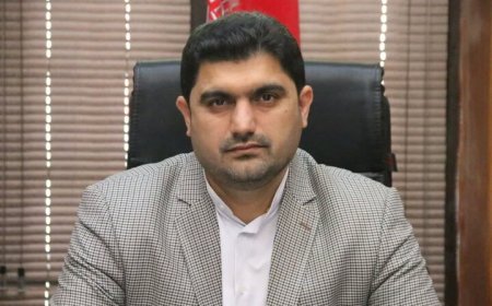 مولفان بوشهری حمایت می‌شوند