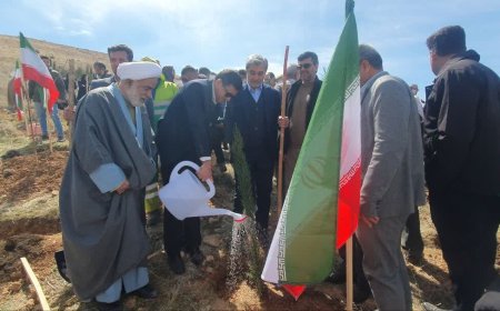 آغاز کاشت سه هزار اصله نهال در شیراز بمناسبت روز درختکاری