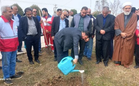 آغاز کاشت یک هزار و ۵۰۰ نهال در آبادان و خرمشهر