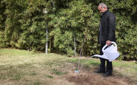 پزشکیان: مردم با مشارکت در کاشت درخت به بهبود محیط زیست کشور کمک کنند