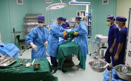 برداشت موفقیت آمیز  توده سرطانی ۱۷ سانتی از کلیه بیمار فسایی
