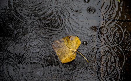 هرمزگان زیر غرش تندر و رگبار