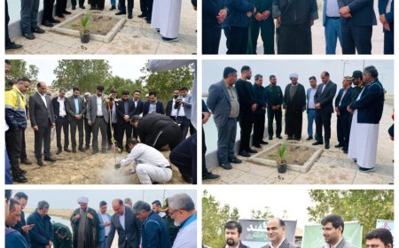 کاشت نهال به مناسبت روز درختکاری در عسلویه با حضور مسئولان شهرستان