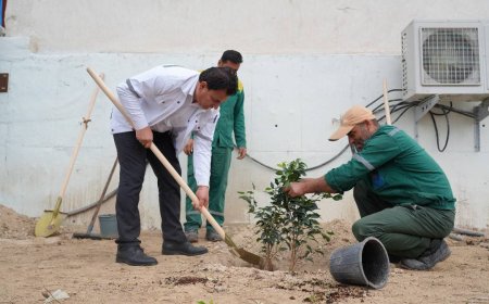 گرامیداشت روز درختکاری در پتروشیمی جم