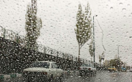 بارش‌ها هیچ‌گونه خسارتی در فارس نداشت/ سامانه جدید از راه می‌رسد