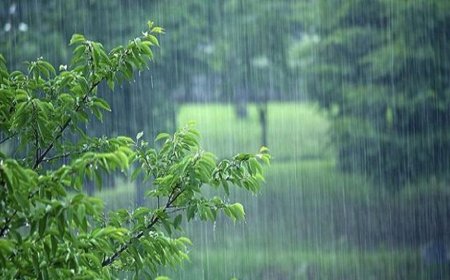 بارش باران زمستانی در شهر بندرعباس