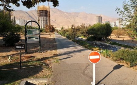 باغ‌های تاریخی شیراز قربانی توسعه نامتوازن