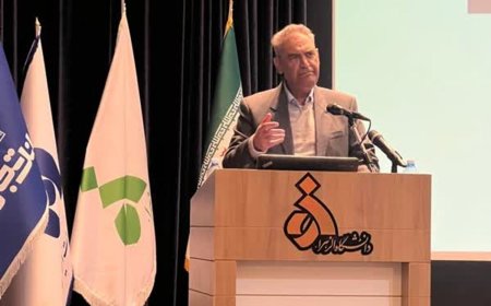 جایزه پژوهشی حسابداری به نام «دکتر محمد نمازی» استاد دانشگاه شیراز نامگذاری شد