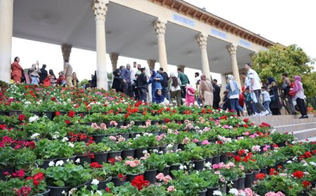 آرامگاه حافظیه بهسازی شد