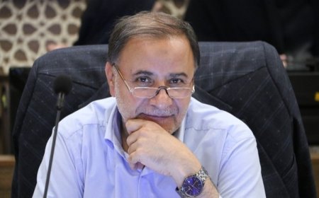 نظارت شورای شهر شیراز بر خدمات نوروزی