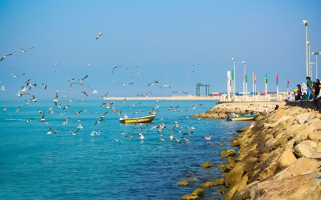 بوشهر میزبان ۲ میلیون و ۴۰۰ هزار نفر مسافر نوروزی شد