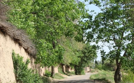 فعلا خبری از باران در فارس نیست / دمای هوا افزایش پیدا می‌کند