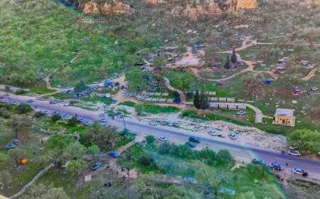 سرمستی طبیعت و بهار در تفرجگاه دشتک دیل گچساران