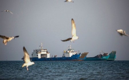 پس از ۱۱ سال؛ شمع‌های فلزی مزاحم در ساحل بندرعباس جمع‌آوری شد