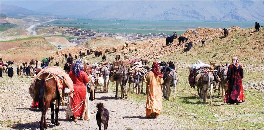 زمان کوچ عشایر استان کهگیلویه و بویراحمد اعلام شد