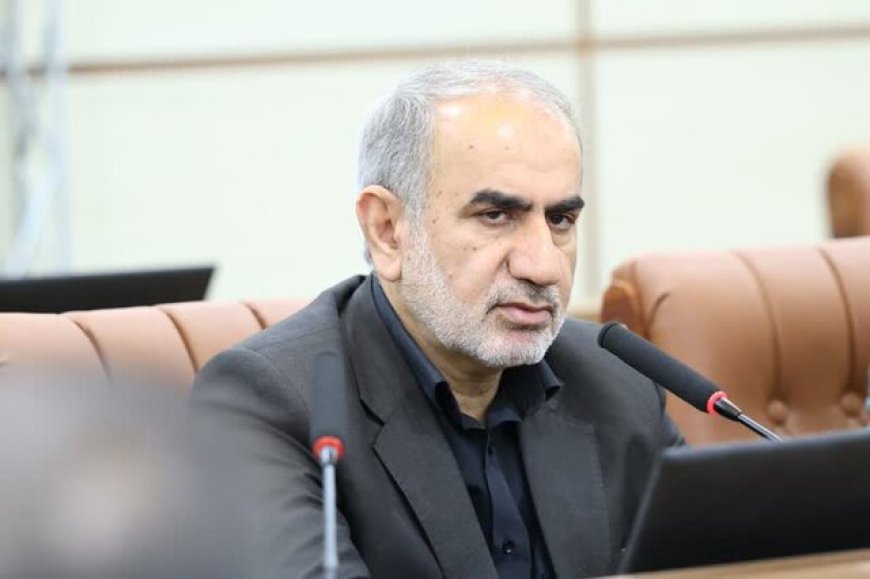 نماینده شیراز: تمهیدات مجلس برای تقویت سرمایه‌گذاری/ دولت مولدسازی کند