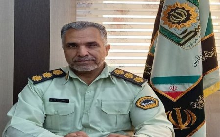 کاهش ۲۸ درصدی وقوع سرقت طی ایام نوروز در داراب