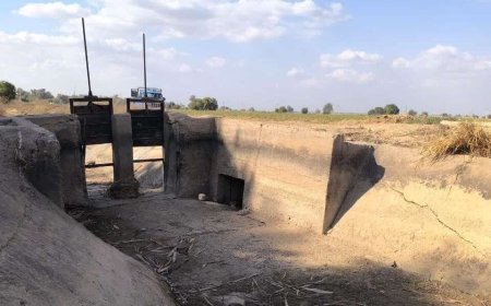 مزارع نیشکر در آستانه نابودی/ حقابه کشاورزی، چالش جدید هفت تپه