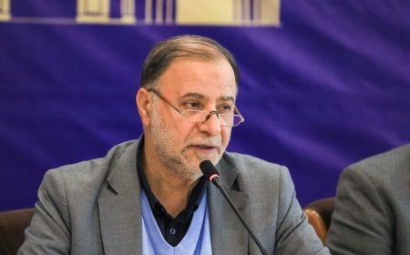 عضو شورای شهر: نوروز امسال آزمونی موفق برای مدیریت شهری شیراز بود