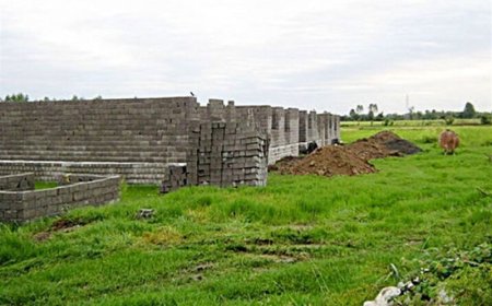 شناسایی ۳۳۳ تغییرکاربری غیرمجاز در اراضی کشاورزی خوزستان
