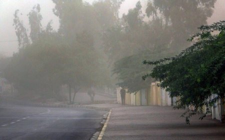 هشدار هواشناسی نسبت خیزش گرد و خاک در برخی مناطق فارس