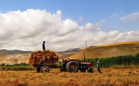 توسعه روستاهای فارس زیر چتر تعاونی‌ها