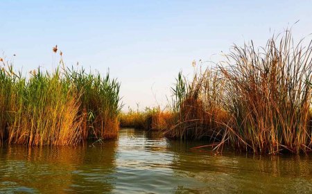 حق‌آبه تالاب شادگان تامین نشده است/ بروز مشکل آبی با آغاز گرما و تبخیر
