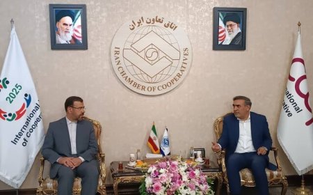 استاندار فارس مطرح کرد: توانمندی تعاونی‌ها برای ورود به سرمایه‌گذاری برای تولید