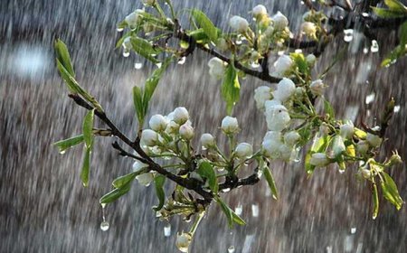 رگبارهای بهاری در راه فارس/ هشدار زرد هواشناسی صادر شد