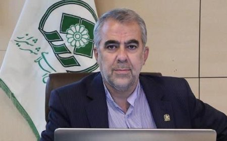 نایب‌‎رییس شورای شهر شیراز خواستار شد : توقف اجرای طرح ممنوعیت تردد خودروهای فاقد معاینه فنی تا پایان بهار