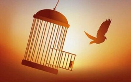 محکوم به قصاص پس از ۶ سال حبس آزاد شد