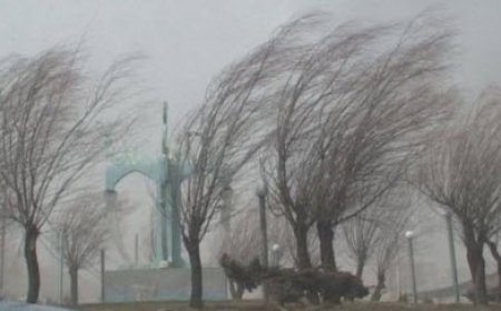 باد شدید و گردوغبار در شیراز