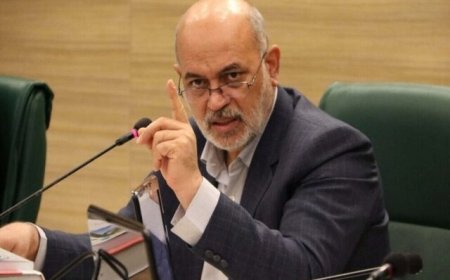 رئیس شورای شهر: استعفای عضو شورای شهر شیراز در صورت جدی شدن بررسی خواهد شد