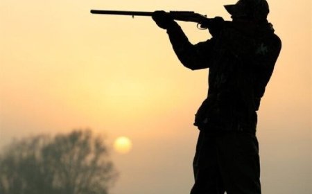 عاملان تیراندازی به محیط بانان در دیر دستگیر شدند