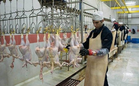 افتتاح بزرگترین کشتارگاه جنوب ایران در کهگیلویه و بویراحمد