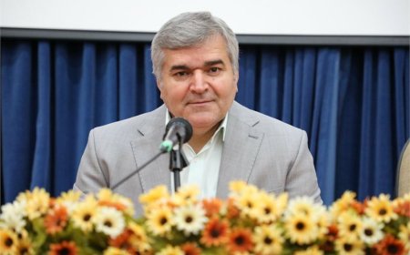 شناسایی فرار مالیاتی در زمینه فروش فرآورده‌های گوشتی در فارس