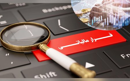 هفت هزار و ۸۰۰ میلیارد ریال فرار مالیاتی در صنعت گوشت فارس فاش شد