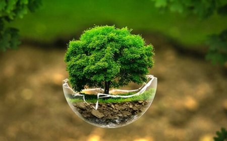 گزارش «خبرجنوب» به مناسبت روز زمین پاک  ، به نام زمین پارس