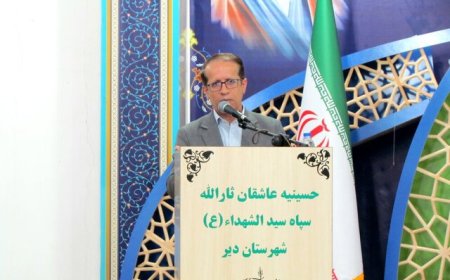 فرماندار دیر خبر داد: دیر مجموعه اقامتی برای مسافران ندارد