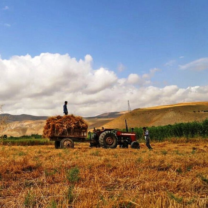 توسعه روستاهای فارس زیر چتر تعاونی‌ها