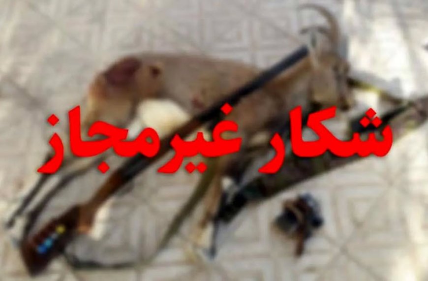 دستگیری شکارچی متخلف در بندر لنگه