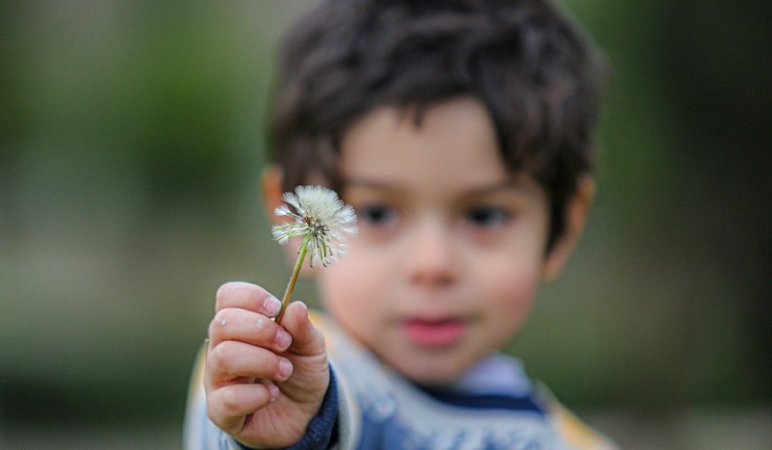 کَرَک جان بنده ی دم باش
