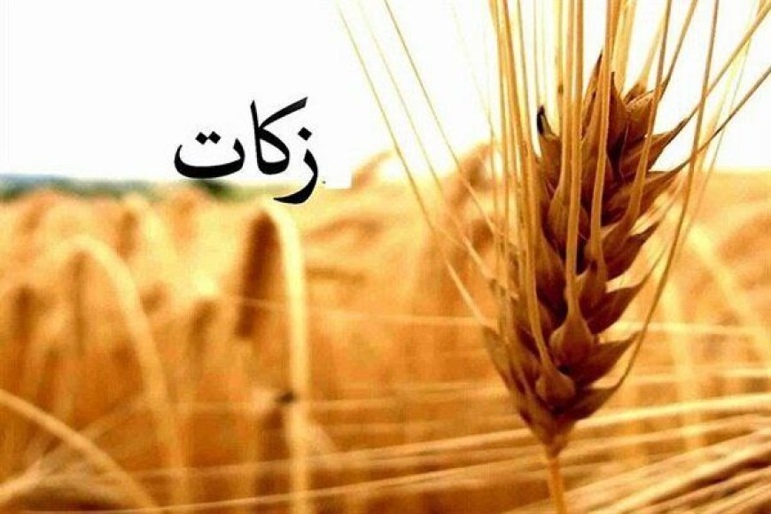 راه اندازی پایگاه‌های جمع آوری زکات گندم در حاجی آباد