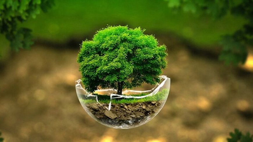 گزارش «خبرجنوب» به مناسبت روز زمین پاک  ، به نام زمین پارس