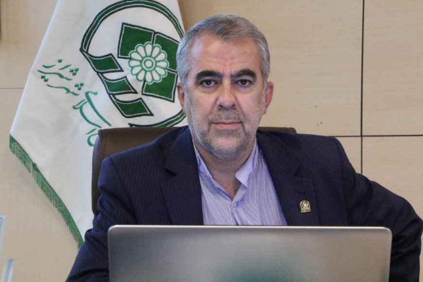 نایب رئیس شورای شهر: پدرخوانده های نوظهور می خواهند امور شیراز را بدست گیرند
