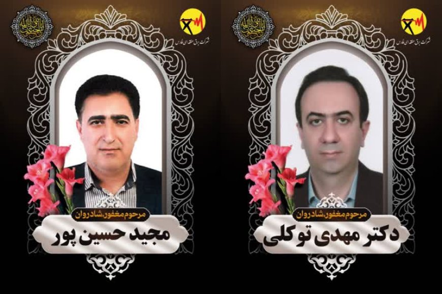 معاون شرکت برق منطقه ای فارس در حادثه تصادف درگذشت