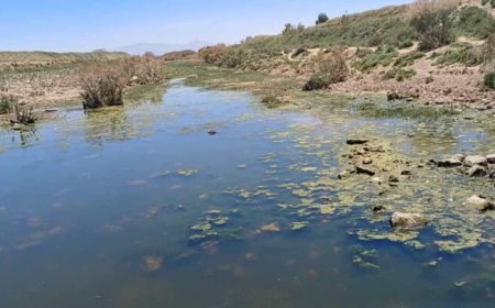 از فاضلاب تا نان؛ داستان پنهان مزارع شرق شیراز