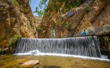 کهگیلویه وبویراحمد به وقت بهار؛چشم نوازی طبیعت سحر انگیزش تا آبشارهای مفرح