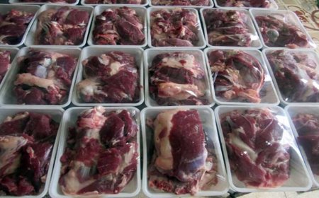 توزیع ۲۸ بسته گوشت گرم بین خانواده ایتام رودانی